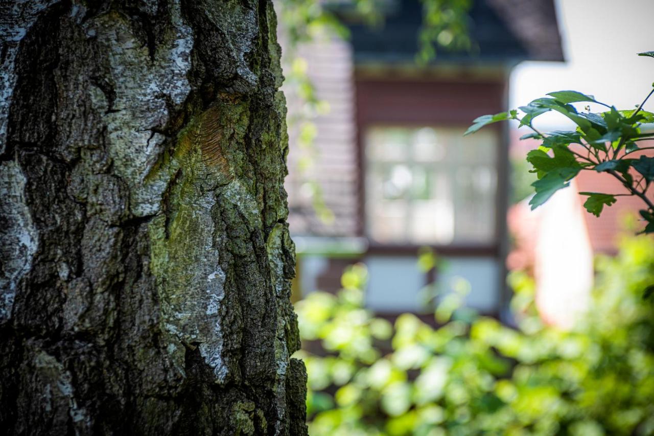 Blumeins - Das Refugium Groß-Umstadt Buitenkant foto